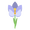 Image to render