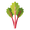 Image to render