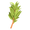 Image to render