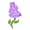 Image to render