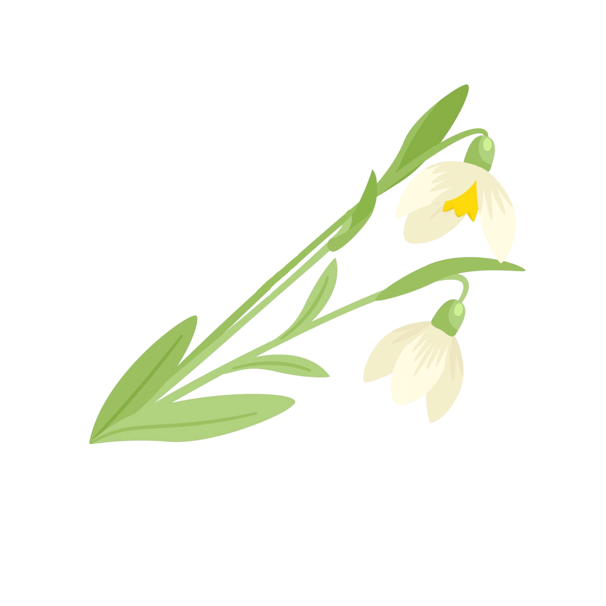 Image to render
